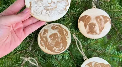 Anderson Humane in South Elgin raising money by selling holiday ornaments featuring pets faces