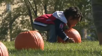 ‘Pumpkin Palooza:’ Milwaukee kids, families enjoy 4th annual event