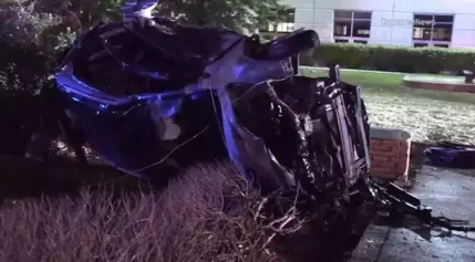 Illinois State Police trooper rescues dogs from burning car after crash on Jane Addams Memorial Tollway