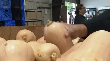 Feeding the Valley: Community Food Bank's Vital Role in Grand Junction's Holiday Hunger Relief