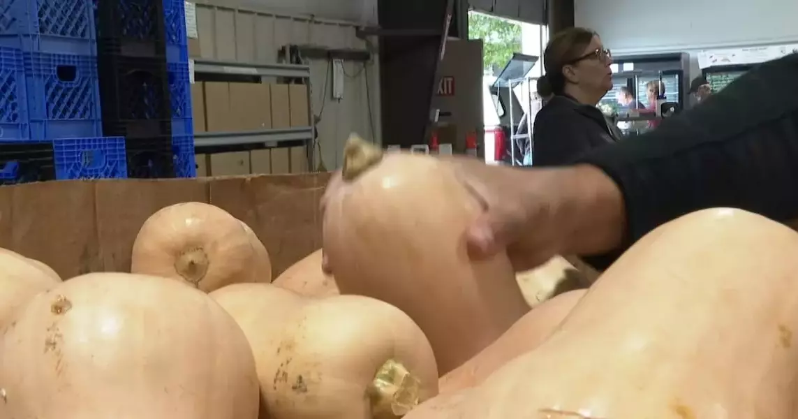 Feeding the Valley: Community Food Bank's Vital Role in Grand Junction's Holiday Hunger Relief