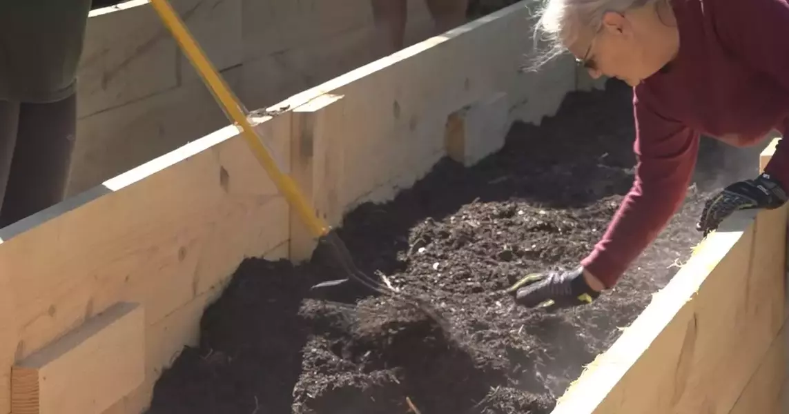 Community garden now built and seeded along Chestnut Street to address food insecurity in grocery desert