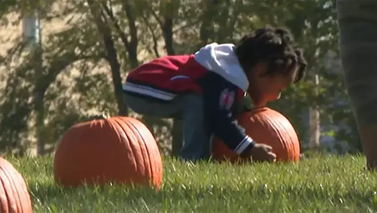 ‘Pumpkin Palooza:’ Milwaukee kids, families enjoy 4th annual event