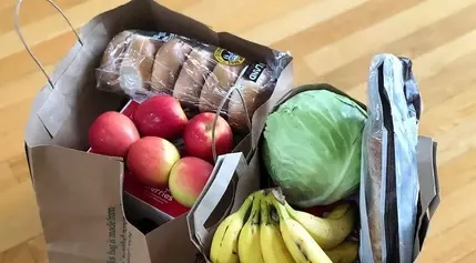 SNAP benefit users can report food losses from Hurricane Milton for replacement