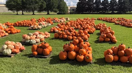 Episcopal churches host pumpkin patches to raise money, provide fun for their communities