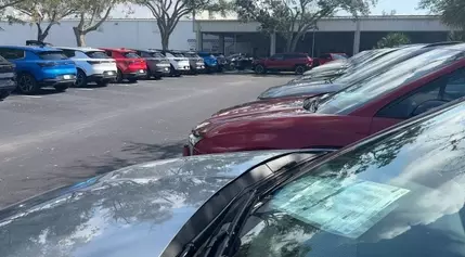 Clearwater dealership CFO says new car demand is up since hurricanes hit