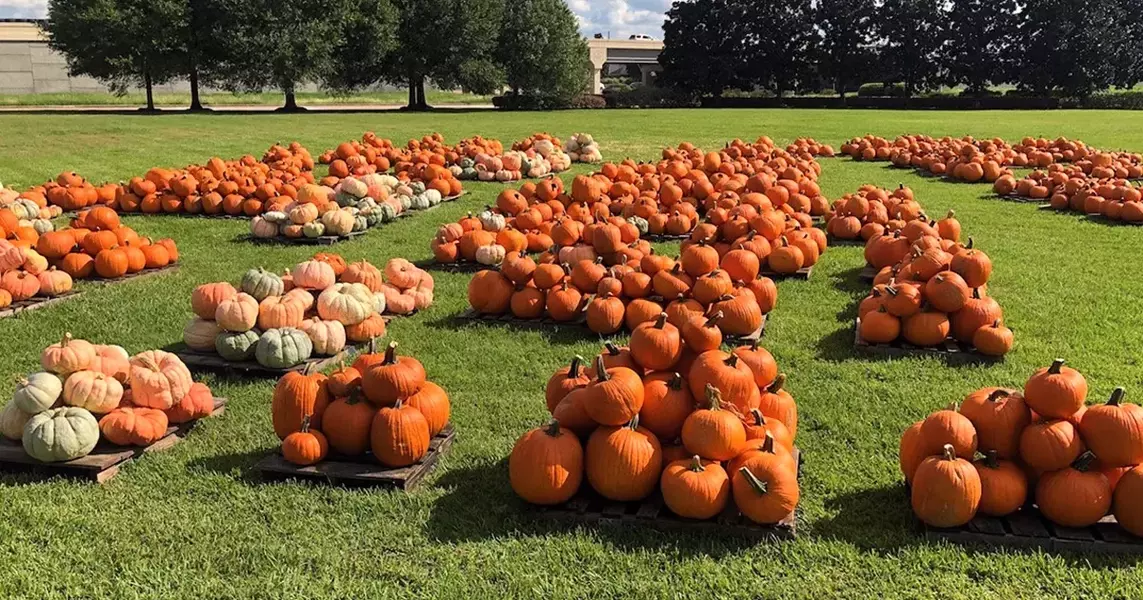 Episcopal churches host pumpkin patches to raise money, provide fun for their communities