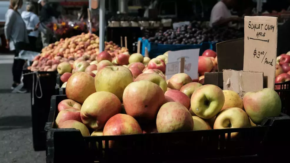 ChangeSC expands fresh food access in Dorchester County through end of October