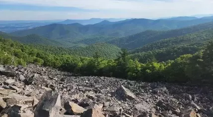 Weathering the Storm: A Hiker's Odyssey on the Appalachian Trail