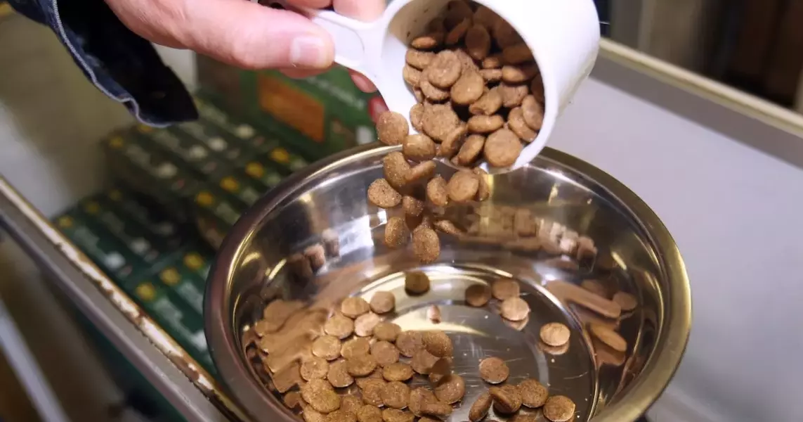 Alert Issued for Recalled Kitten Food Due to Salmonella Risk