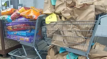 Community Efforts Combat Pet Food Insecurity in Vernon