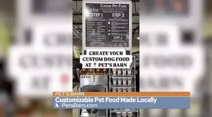 Exploring the Unique Pet Food Creation Process at a Local Store