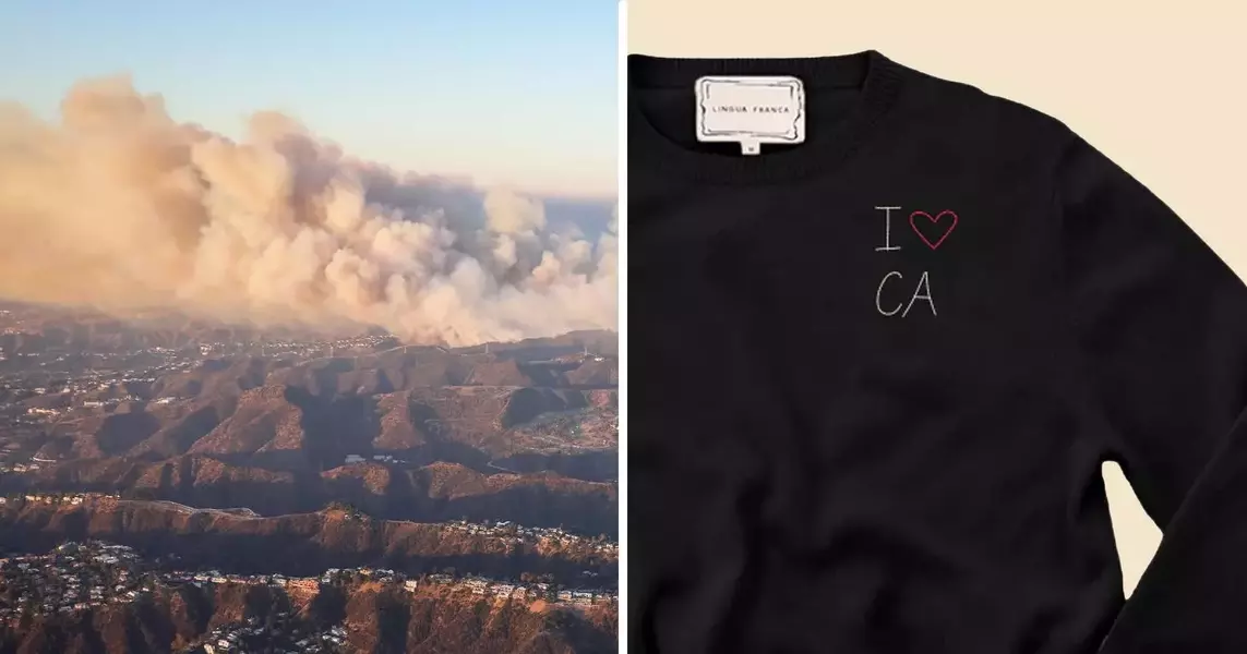 Supporting Los Angeles: Community and Brands Unite in the Face of Wildfires