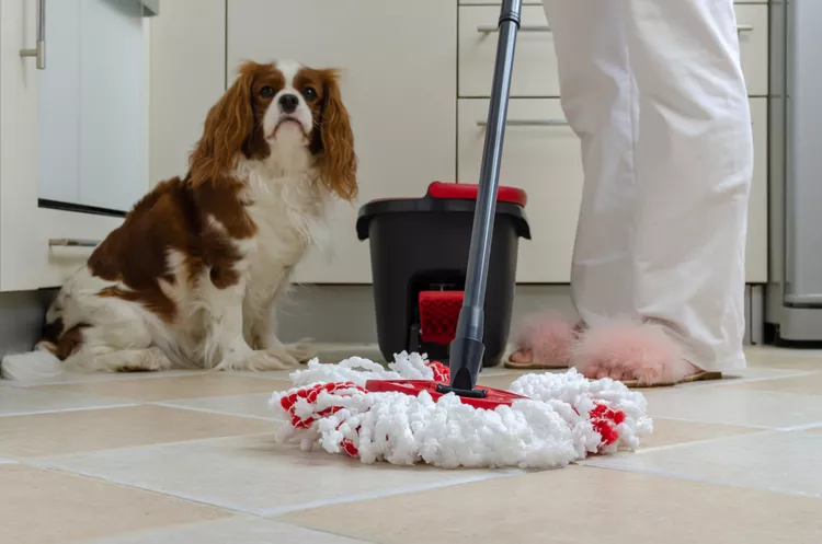 Is Swiffer WetJet Safe to Use Around My Pet?