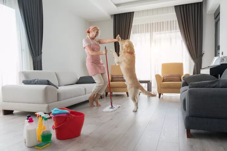 How to Keep Spring Cleaning Safe for Your Pets