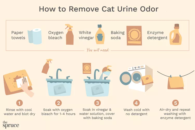 How to Get Cat Pee Smell Out of Clothes & Bedding