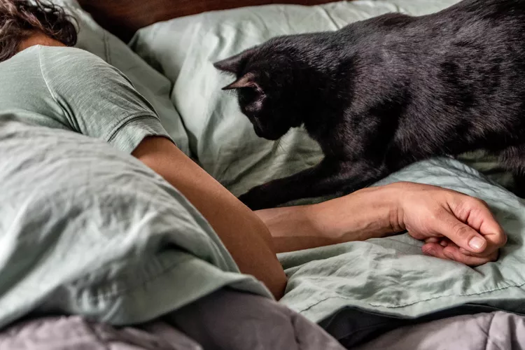 How to Stop Your Cat From Waking You Up at Night