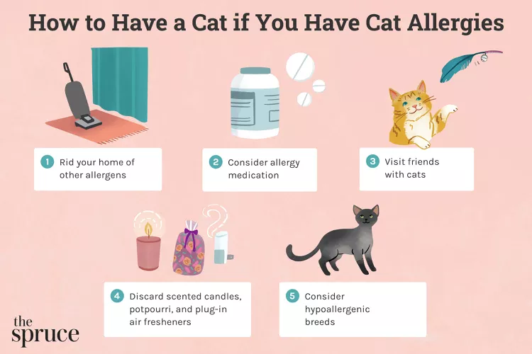 How to Have a Cat If You Have Cat Allergies