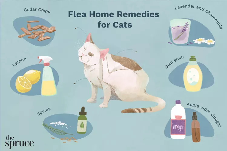 9 Natural Flea Treatments for Cats