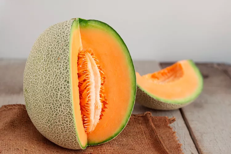 Can Dogs Eat Cantaloupe?