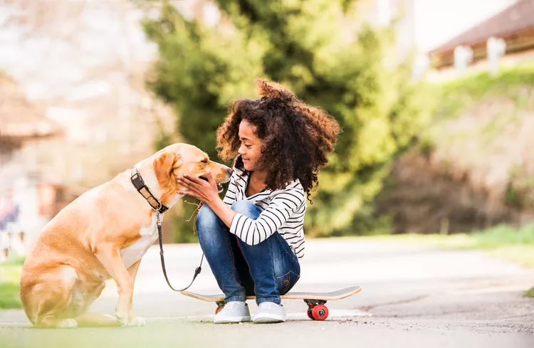 How to Train Your Dog to Safely Interact With Kids