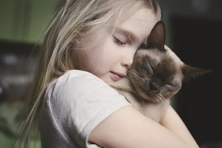 10 Best Cat Breeds for Kids