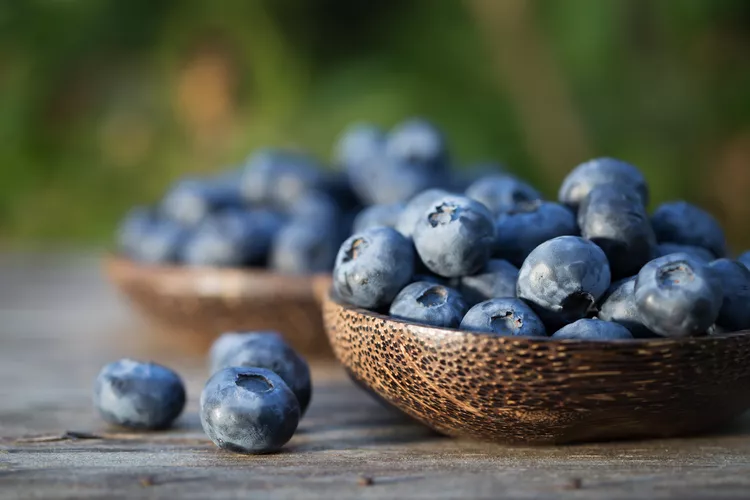 Can Cats Eat Blueberries?