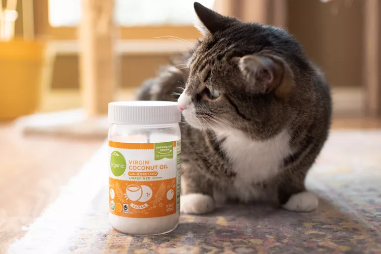 Is Coconut Oil Safe for Cats?