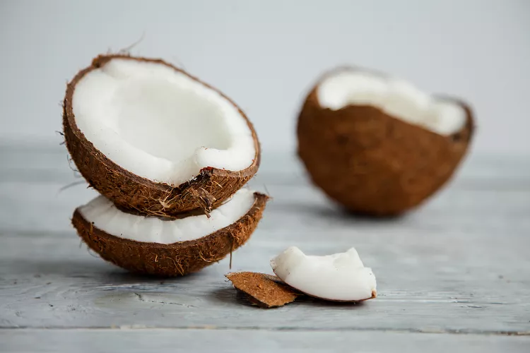 Can Cats Eat Coconut?