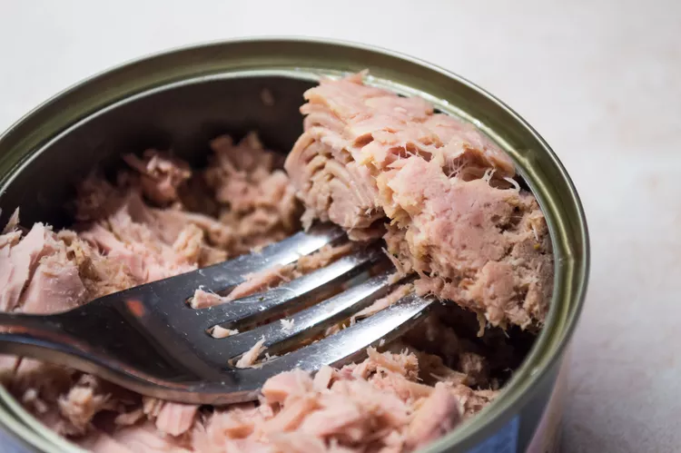 Is Tuna Good For Dogs?