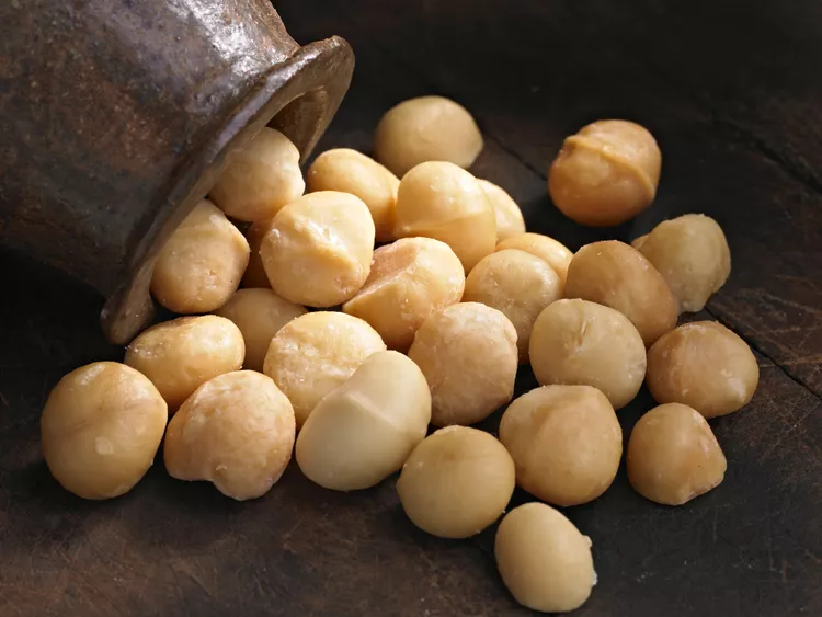 Macadamia Nuts and other Nuts That Are Toxic to Dogs