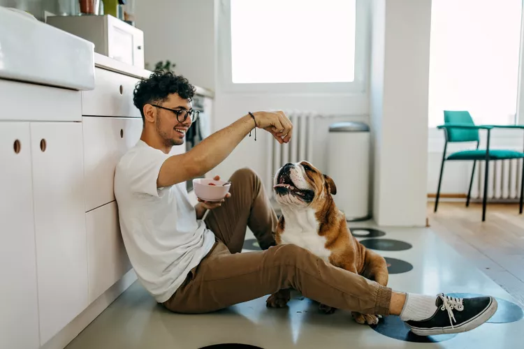 Can Dogs Eat Zucchini? Everything to Know About This Hardy Summer Squash