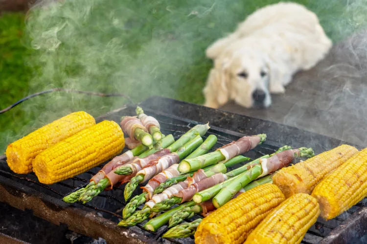 Can Dogs Eat Asparagus?