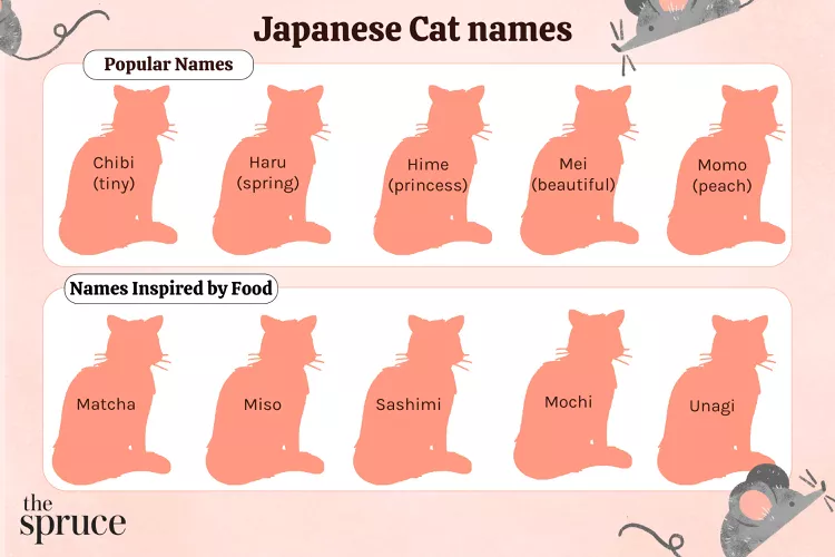 75 Japanese Cat Names