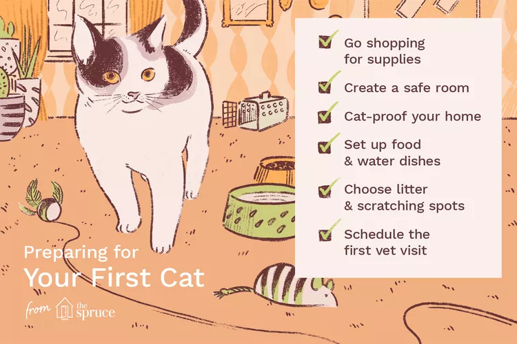 Everything You Need to Know About Raising Your First Cat