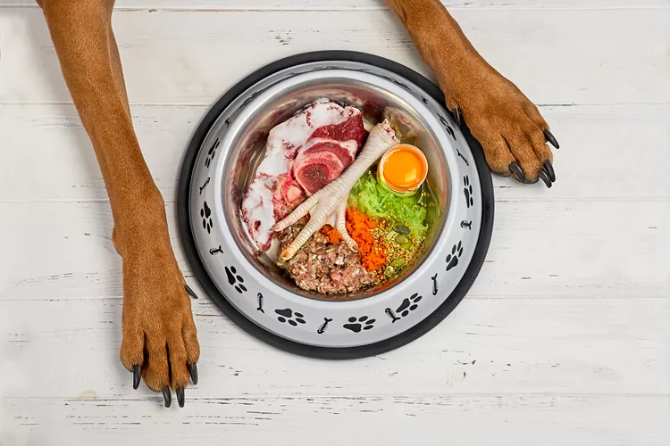 The Pros and Cons of a Raw Food Diet for Dogs