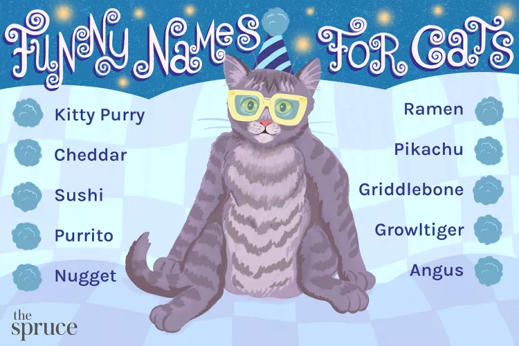 117 Funny Cat Names That'll Make you Chuckle