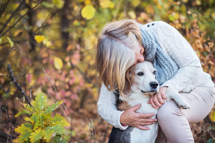 Do Older Dogs Get Menopause?