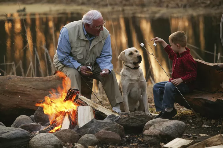 Can Dogs Eat Marshmallows? What to Know About the S'mores Staple