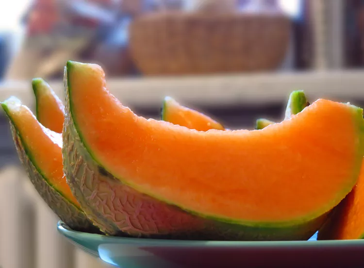 Can Cats Eat Cantaloupe?