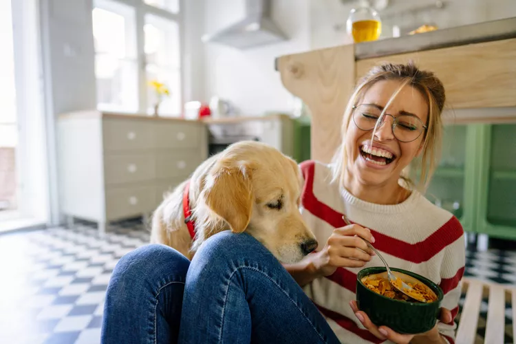 Can Dogs Eat Cauliflower? What to Know About the Cruciferous Veggie