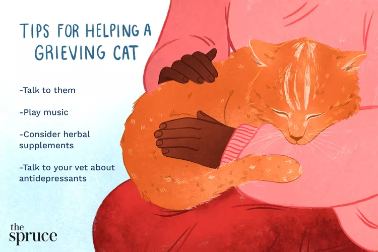 Helping Cats' Cope Over Pet Loss