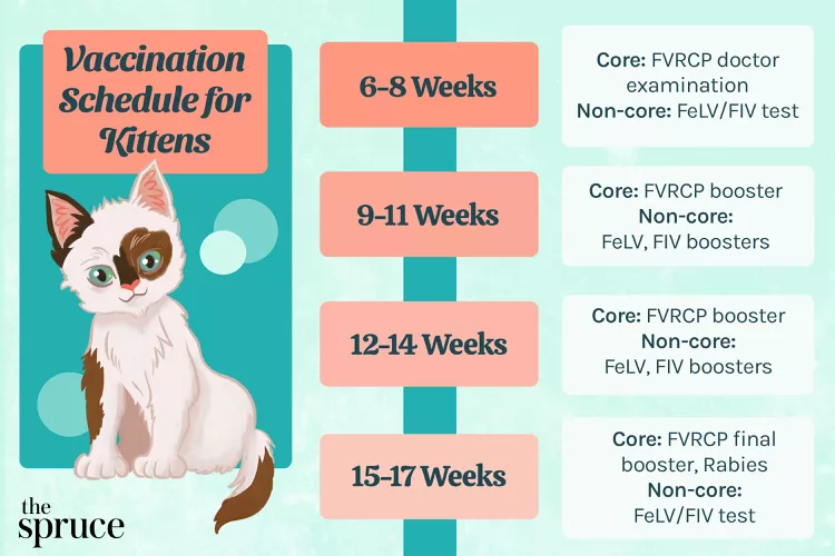 Kitten Vaccine Schedule